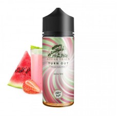 STEAM TRAIN  TURN OUT 24ml/120ml